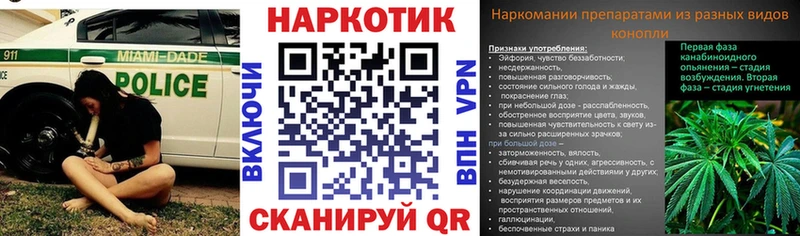 Галлюциногенные грибы Усть-Джегута