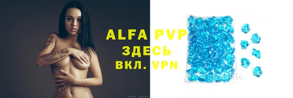 стаф Балахна
