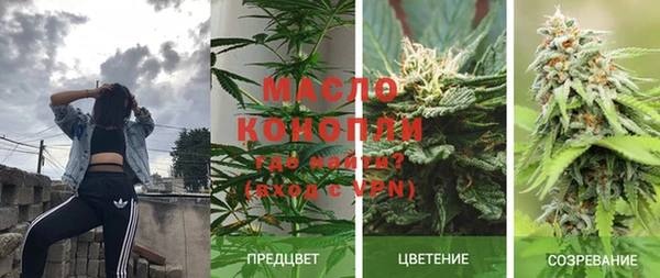стаф Балахна