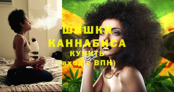 стаф Балахна