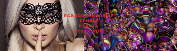 стаф Балахна