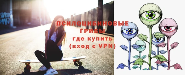стаф Балахна