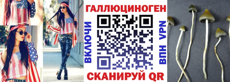 Галлюциногенные грибы GOLDEN TEACHER Усть-Джегута